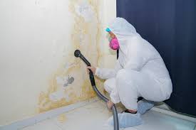 Fort Mckinley, OH Mold Remediation Company